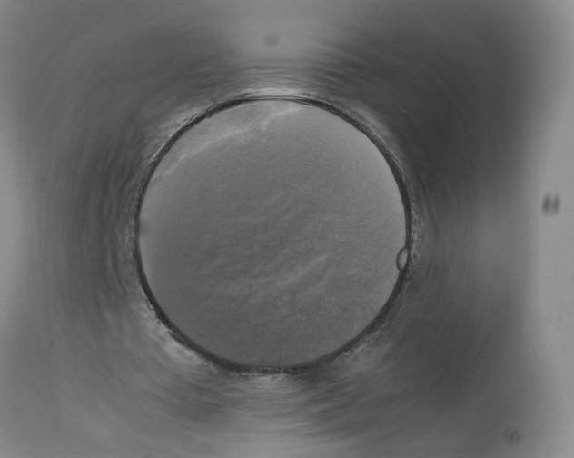 X0000113140385200910021444