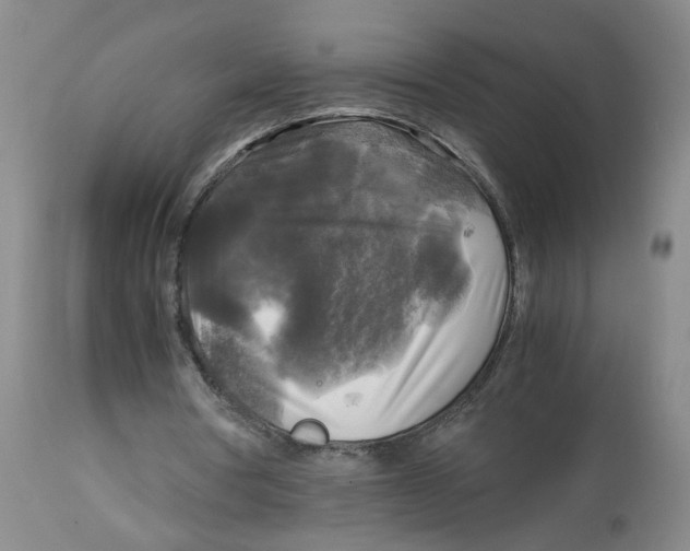 X0000113140386200910021444
