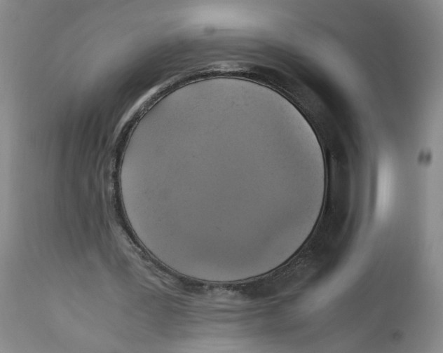 X0000113140387200910021444