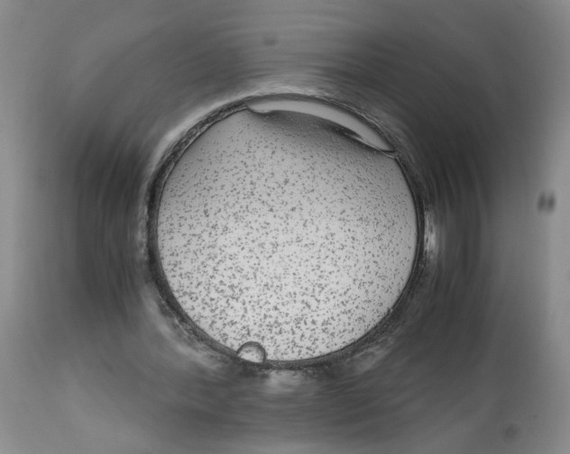 X0000113140388200910021444