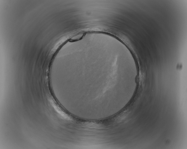 X0000113140389200910021444