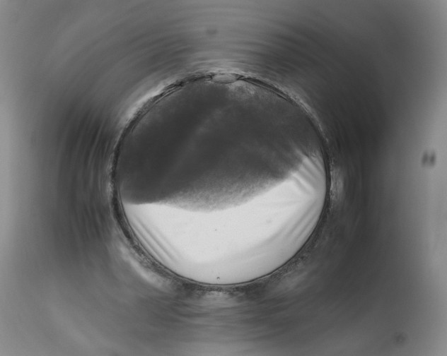 X0000113140390200910021444