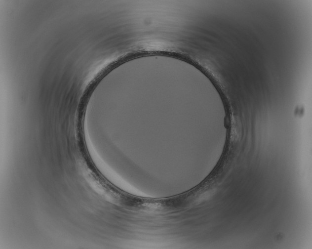 X0000113140391200910021444