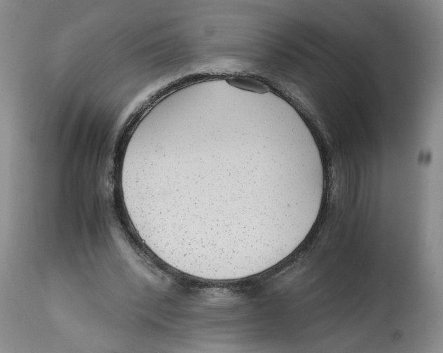 X0000113140392200910021444