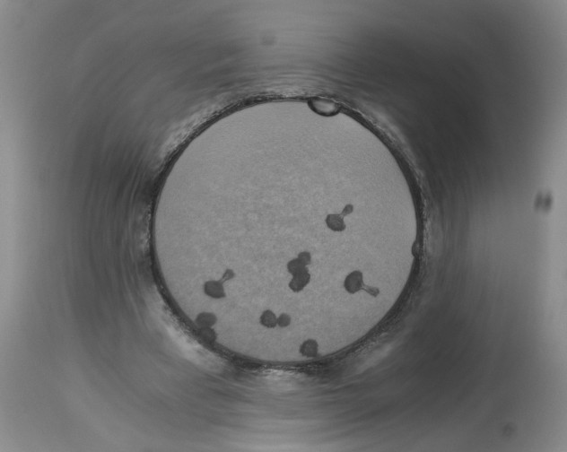 X0000113140393200910021444