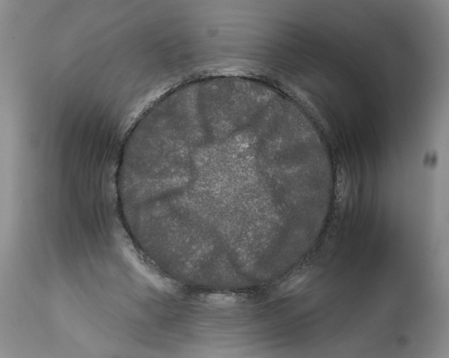 X0000113140394200910021444