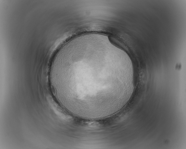 X0000113140395200910021444