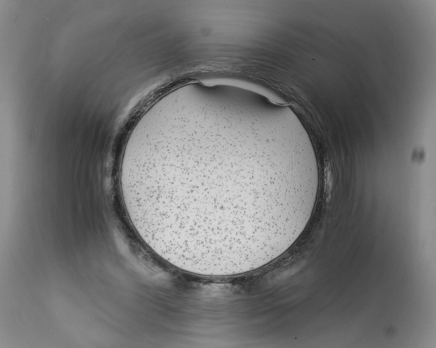 X0000113140396200910021444