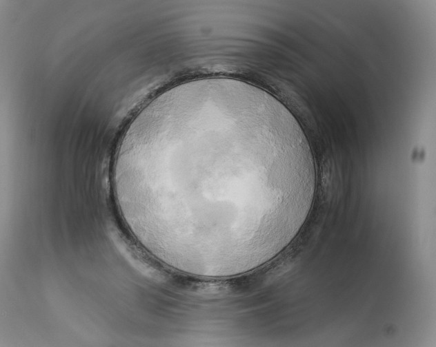 X0000113140398200910021444