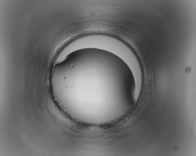 X0000113140399200910021444