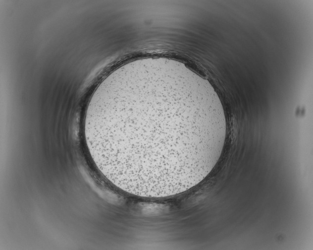 X0000113140400200910021444
