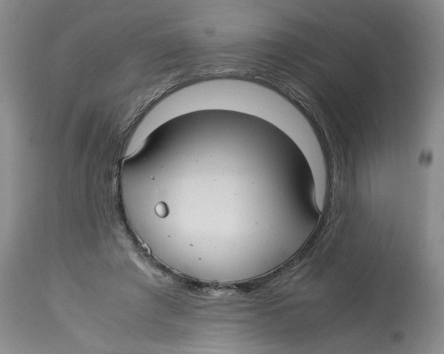 X0000113140401200910021444