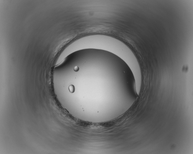 X0000113140403200910021444