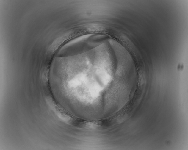 X0000113140405200910021444