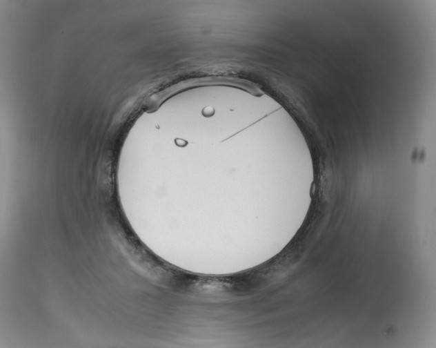 X0000113140407200910021444