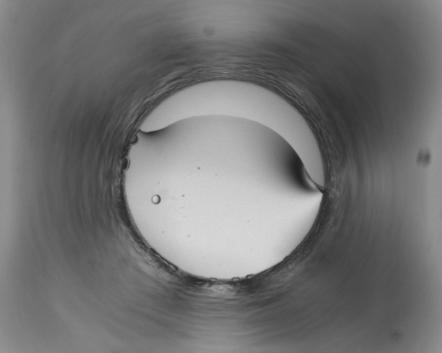 X0000113140409200910021444