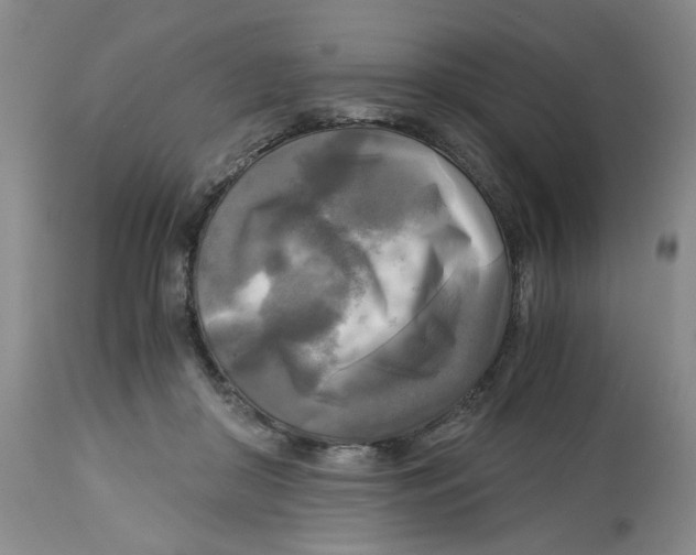 X0000113140410200910021444