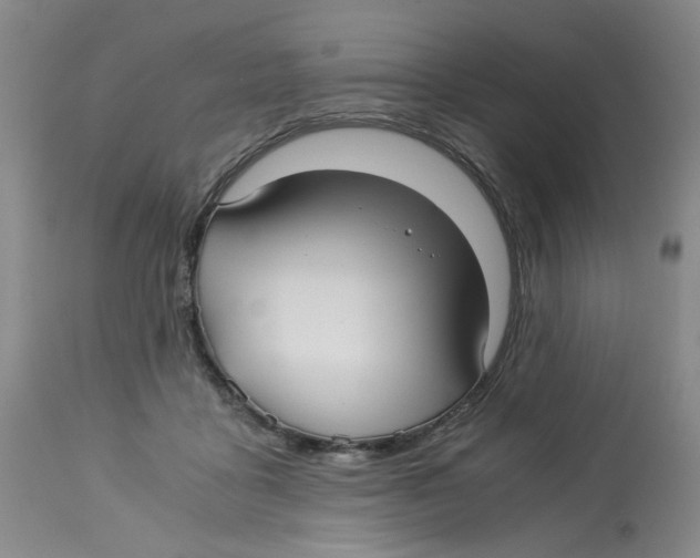 X0000113140411200910021444