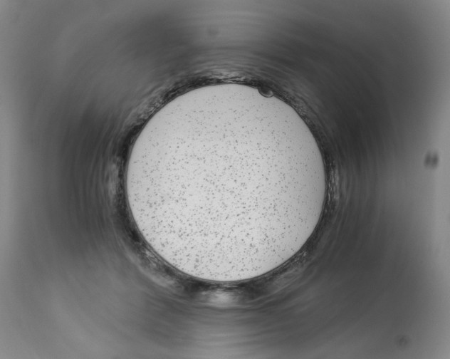 X0000113140412200910021444