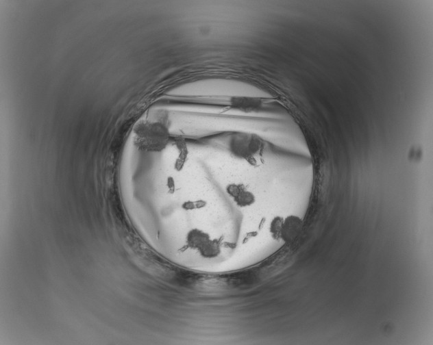 X0000113140413200910021444