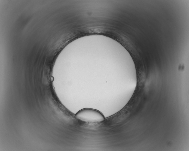 X0000113140414200910021444