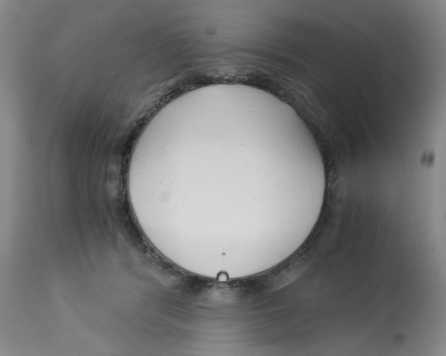 X0000113140416200910021444
