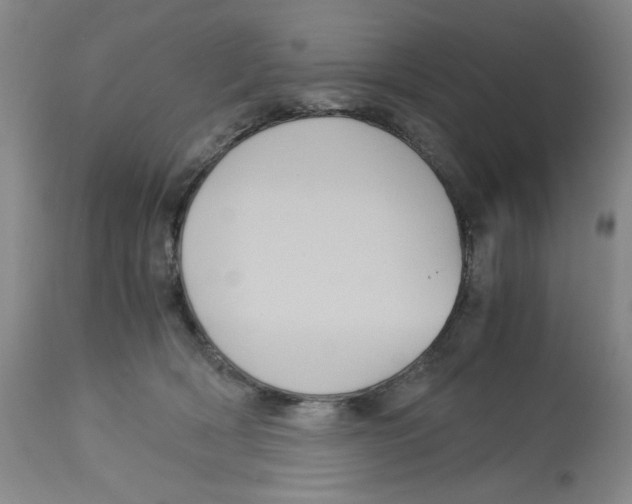 X0000113140418200910021444