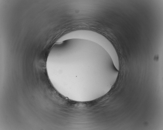 X0000113140419200910021444