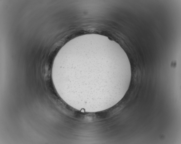 X0000113140420200910021444