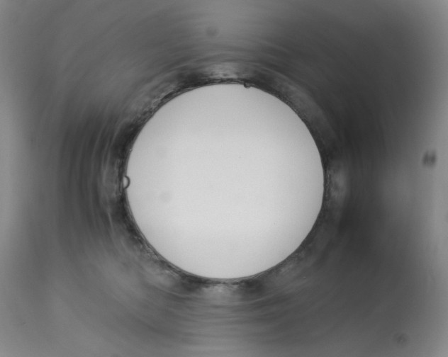 X0000113140422200910021444
