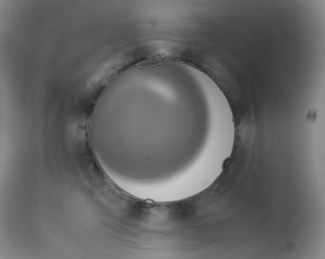 X0000113140423200910021444