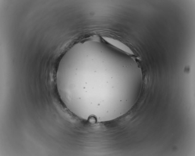 X0000113140424200910021444