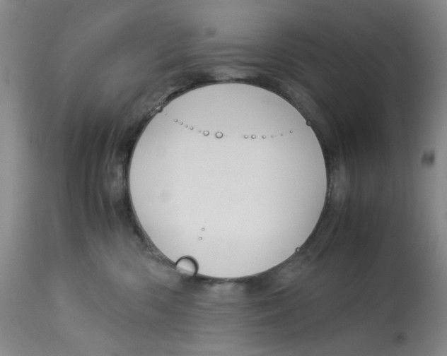 X0000113140426200910021444