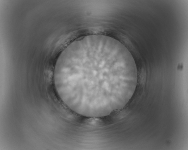X0000113140427200910021444
