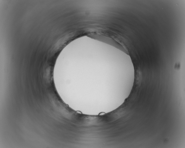 X0000113140428200910021444