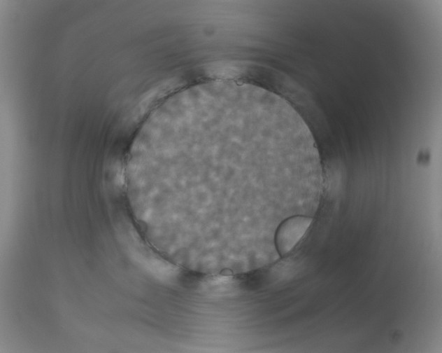 X0000113140431200910021444