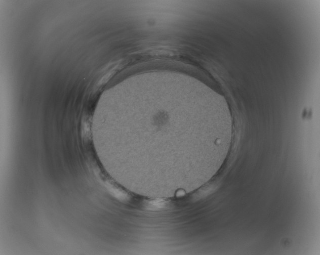 X0000113140432200910021444