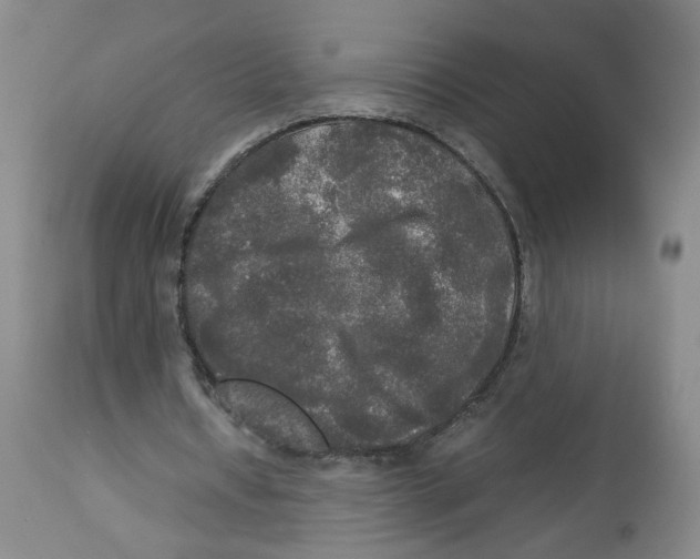 X0000113140434200910021443