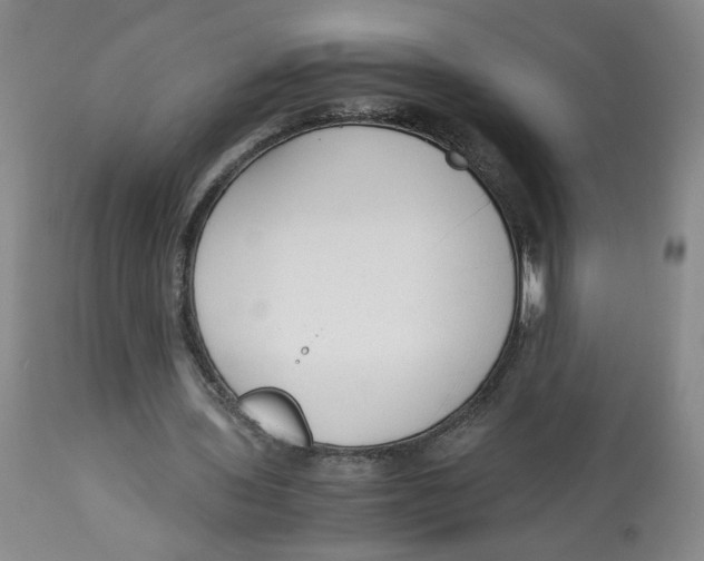 X0000113140435200910021443