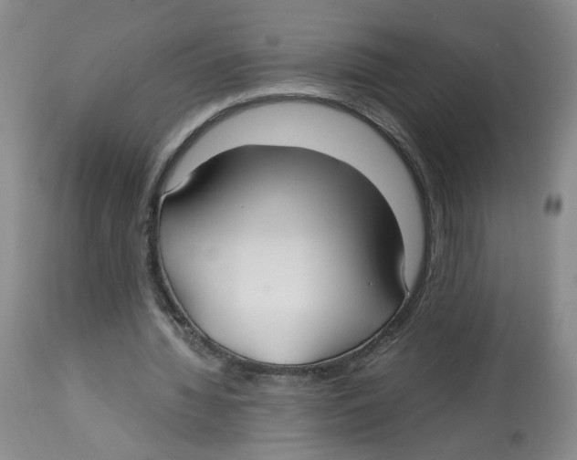 X0000113140436200910021443