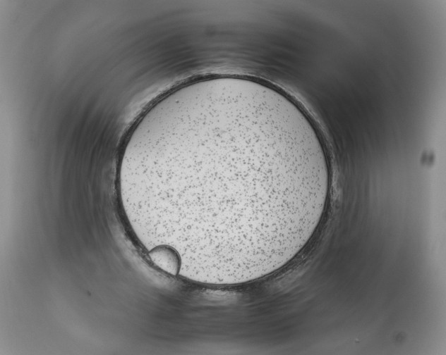 X0000113140437200910021443