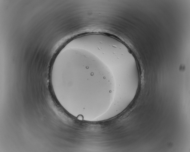 X0000113140438200910021443