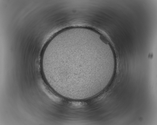 X0000113140439200910021443