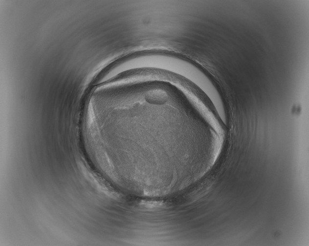 X0000113140440200910021443
