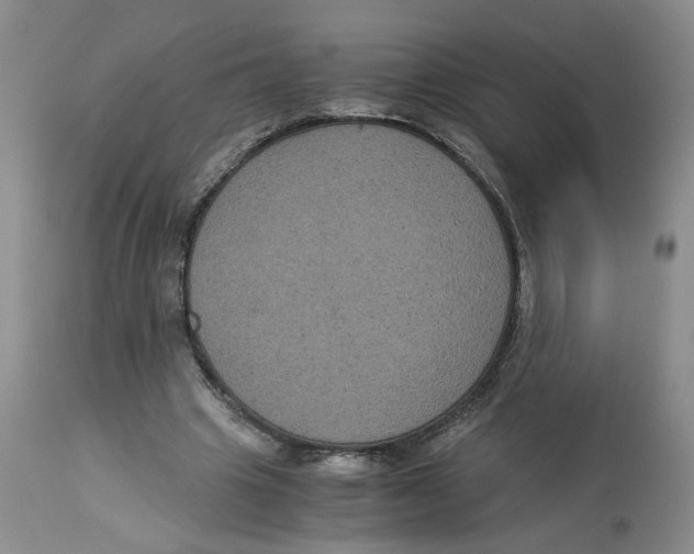 X0000113140441200910021443