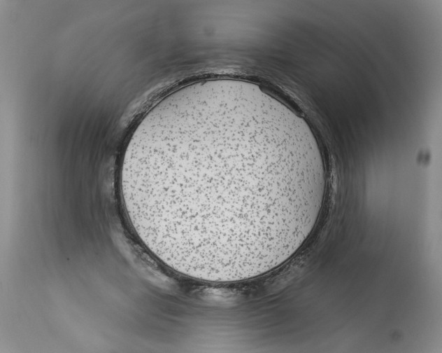 X0000113140442200910021443