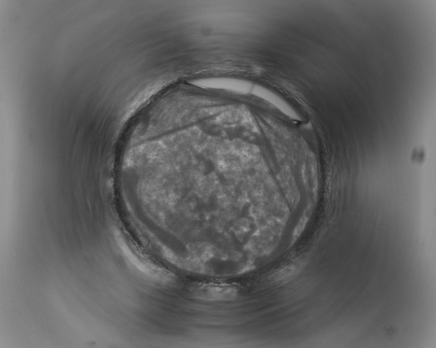 X0000113140443200910021443