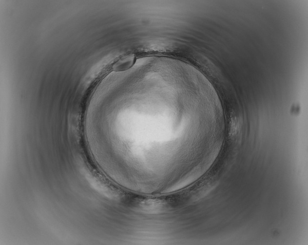 X0000113140444200910021443