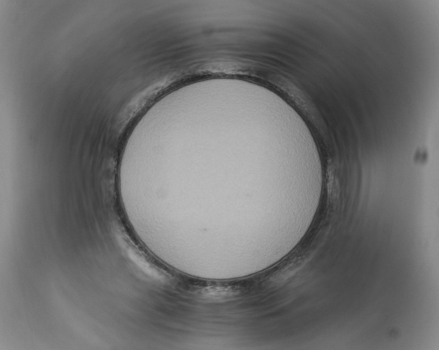 X0000113140445200910021443