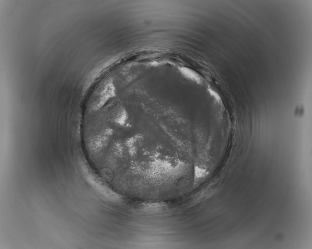 X0000113140446200910021443